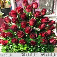 سبد گل رز قرمز هلندی