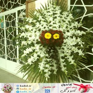 تاج گل خورشیدی متوسط در شیراز