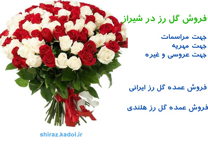 فروش عمده گل رز در شیراز
