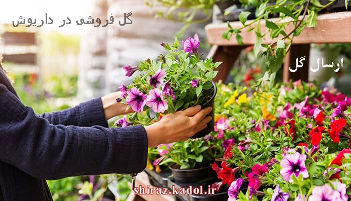 گل فروشی در داریوش ، ارسال گل در داریوش شیراز