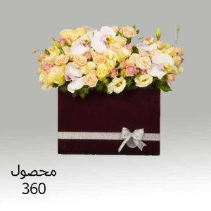 باکس گل 360